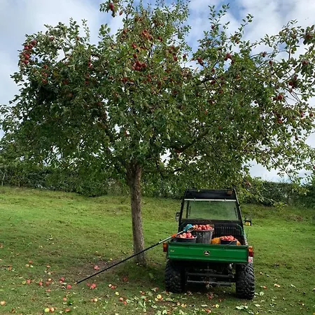 Frühstückspension De Molenhoeve 3*